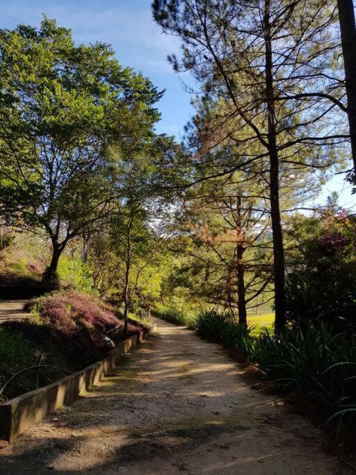 Recanto Dos Beija Flores, Chale Lantana C Monte Alegre do Sul