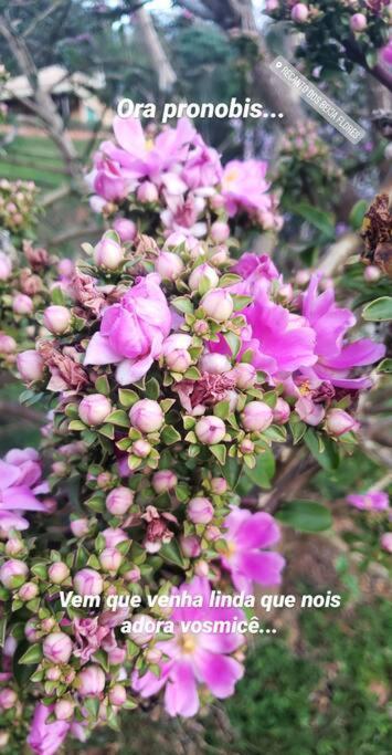 Recanto Dos Beija Flores, Chale Lantana C